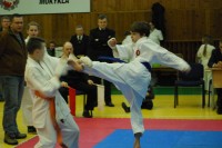 2011 m. Atviros Kauno miesto vaikų, jaunučių, jaunių Shotokan karate pirmenybės