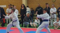 Kauno Shotokan pirmenybės 2017